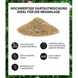 Dehner Bio Saatgut Naturwiese, 250 g