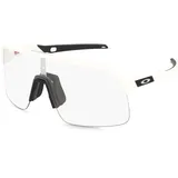 Matte white/clear photochromic (946346)