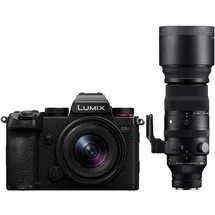 Panasonic Lumix DC-S5D + S 18-40mm f/4.5-6.3