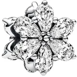 Pandora Funkelndes Herbarium Cluster Charm Silber 792623C01
