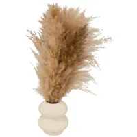 Atmosphera Créateur d'intérieur Pampasgras-Komposition in beige | Gr.: onesize