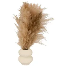 Atmosphera Créateur d'intérieur Pampasgras-Komposition in beige | Gr.: onesize
