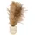 Atmosphera Créateur d'intérieur Pampasgras-Komposition in beige | Gr.: onesize