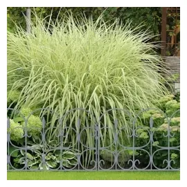 Relaxdays Beetzaun, 6er Set, grau