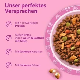 Whiskas Junior Huhn 800 g