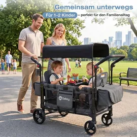 Sekey Bollerwagen Faltbar Zwillingsmodus schwarz