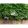 Beliani Gartentisch Ø 68 x 70 cm Braun