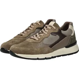 Nero Giardini Sneaker Low Herren Braun 44