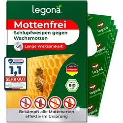 Schlupfwespen gegen Wachsmotten