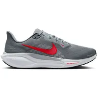Nike Herren Pegasus 41 grau 40.5