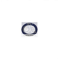 DT Spare Parts Dichtring