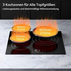 cdv Software CDVER573