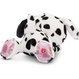 NICI GLUBSCHIS Dalmatiner Dottino