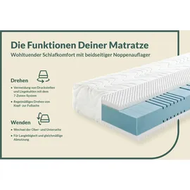 fan 7-Zonen Kaltschaum 100 x 200 cm H3