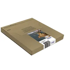 Epson T1306XL CMY
