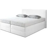 Westfalia Schlafkomfort Boxspringbett 175 x 205 cm Weiß