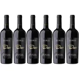 11% Rabatt || 6x Orus Primitivo Salento, 2022 - Weingut Vinosia, Salento! Wein
