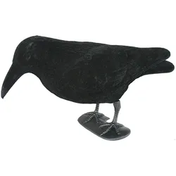 Beflockter Lockvogel Krähe