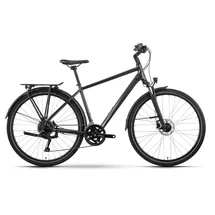 R Raymon Zayn Pro 2025 grau 28 Zoll RH 48 cm