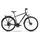 R Raymon Zayn Pro 2025 grau 28 Zoll RH 48 cm