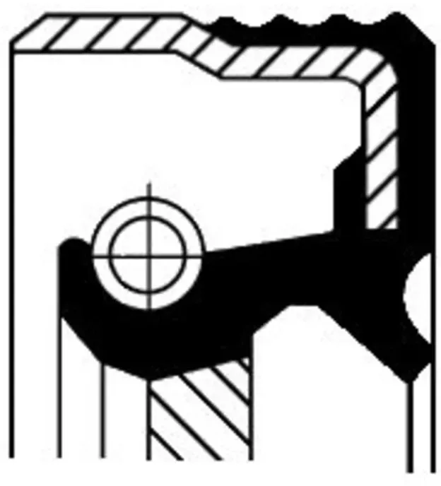 Paraolio, cambio manuale CORTECO 12015304B