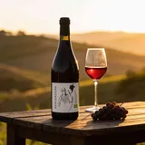 Cantina Puianello   Zanasi Antica Natura Lambrusco Grasparossa  Lambrusco Italien