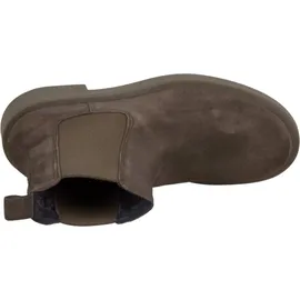 Apple of Eden AW24-CALVIA BLACK - 40