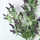 Homescapes Dekozweig, Wilder Lavendel, 69 cm,