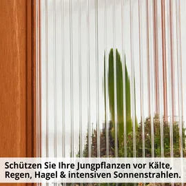 zooprinz Frühbeet Herba