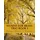 CreateSpace Hymns For Brass Trio Book I: Trumpet, Horn in F, Trombone