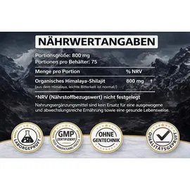 SAPURA Shilajit Harz Paste 60 g