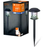 LEDVANCE Solarleuchte Aluminium, Glas 56,2 cm inkl. LED-Lampe schwarz