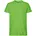 Lime M