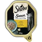 Sheba Sauce Collection mit Pute in heller Sauce 85G