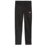 Puma teamGOAL Training Pant Jr 128