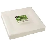 Papstar 50 Teller, Zuckerrohr, eckig, 26 cm x 26 cm weiss