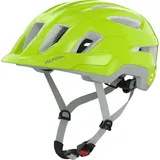 Alpina Paranus MIPS Helm 2025