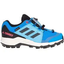 Adidas Terrex GORE-TEX Hiking Shoes blurus/gresix/turbo (AED3) 4