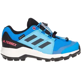 Adidas Terrex GORE-TEX Hiking Shoes blurus/gresix/turbo (AED3) 4