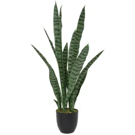 Atmosphera Créateur d'intérieur Zimmerpflanze in grün | Gr.: onesize