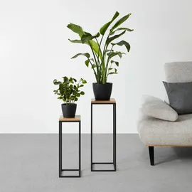 mömax Blumensäulen-Set Watford in Schwarz/Eichefarben