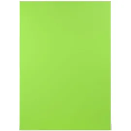 Magni Coloretti A4 80 g/m2 10 Blatt