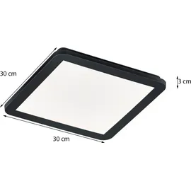 Trio Camillus 1 LED-Deckenleuchte 30 cm x 30 cm schwarz Opal