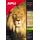 APLI agipa Fotopapier 10 x 15 cm 150 Blatt 240 g