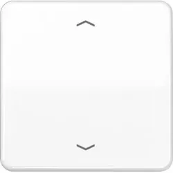 Jung Steuertaste Standard Symbole Pfeile CD 1700 P WW