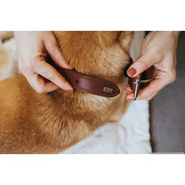 Hunter El Paso Hundehalsband cognac/schwarz 55