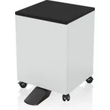 Epson 7112285 Druckerschrank Schwarz, Weiß