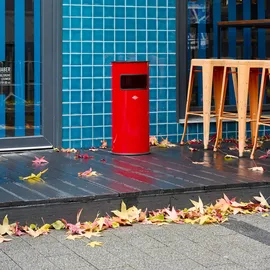 Wesco 150831-03 Kombi-Ascher aus Stahl, 24 Liter