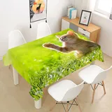 FANSU Tischdecke Wasserdicht Tischwäsche, Rechteckige Wasserabweisend Abwaschbar 3D Katze Tischtuch für Küche Garten Outdoor Esstisch Dekoration (Grünes Gras,140x140cm)