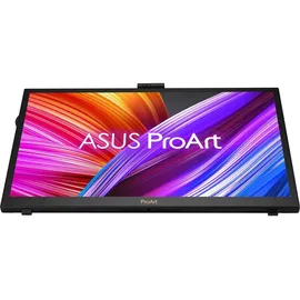 Asus ProArt PA169CDV 15,6" schwarz